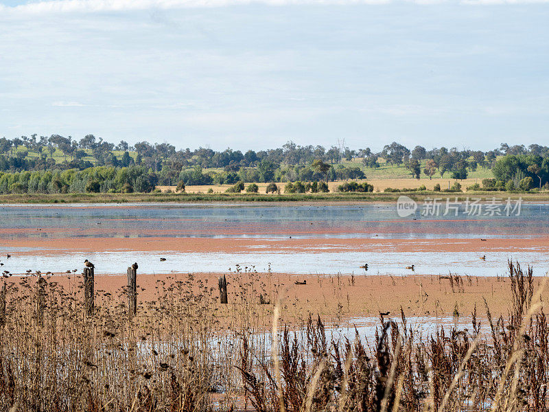 Dangar的泻湖景观- Uralla，新南威尔士州